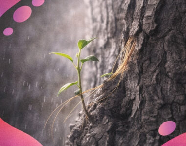 Nouvelle pousse souple sortant de l’écorce d’un arbre marqué par des cicatrices.