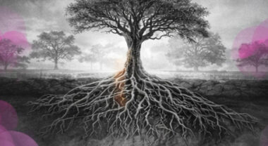 Un grand arbre dont les racines s’entremêlent avec celles d’autres arbres, en noir et blanc avec touches rose et violet.