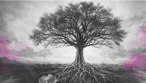 Grand arbre en noir et blanc aux racines profondes, au tronc solide et aux branches déployées, avec touches rose et violet.