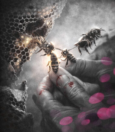 Abeilles reconstruisant ensemble une ruche endommagée en se transmettant des matériaux - Webinaire sur l'effondrement