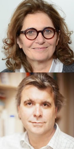 Claude et gregoire