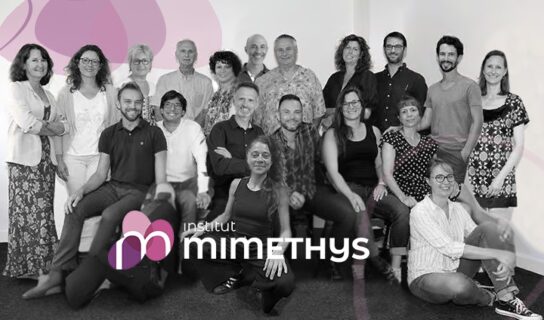 Équipe des formateurs et intervenants de l’Institut Mimethys