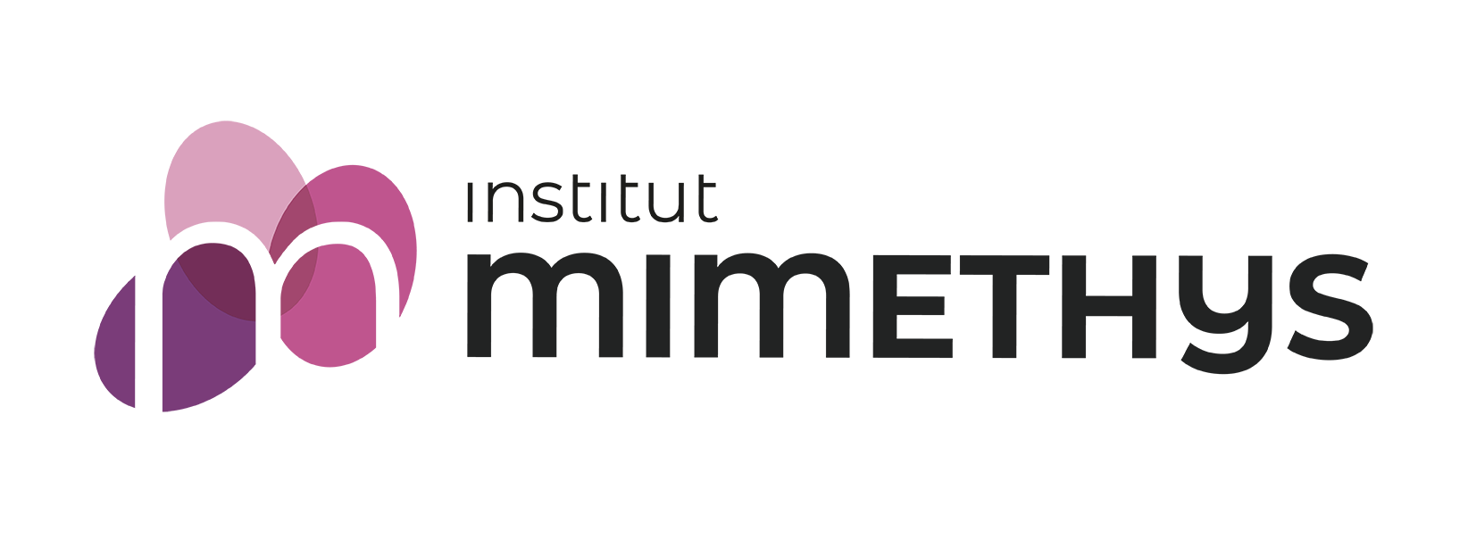 Institut Mimethys
