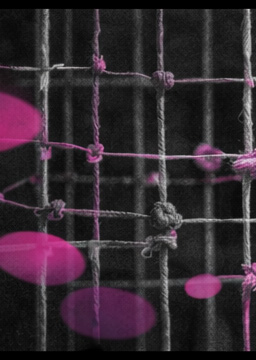 Structure de fils entremêlés représentant les générations, alliances et loyautés, en noir et blanc, avec des accents rose et violet.