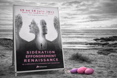 Affiche du congrès Mimethys 2022 installée sur un panneau en bord de mer, avec des galets Mimethys roses et violets sur la plage.