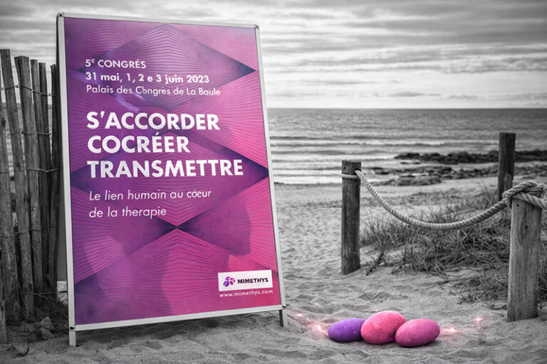 Affiche du congrès Mimethys 2023 installée sur un panneau A-frame sur une plage, avec galets roses et violets.
