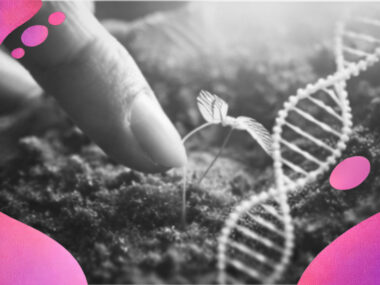 Le vivant émerge des interactions et des conditions relationnelles plutôt que d’un programme biologique figé.