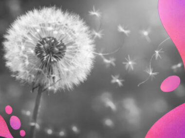 Le vivant se déploie dans une dynamique cyclique intégrant la perte, la finitude et l’émergence.