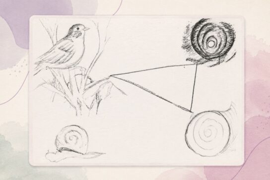 Illustration en noir et blanc montrant une personne observant trois dessins sur une feuille puis réalisant un nouveau dessin dans le dernier coin, avec des éléments graphiques roses et violets évoquant l’émergence d’un dessin synthèse.