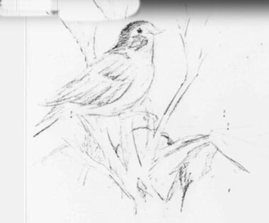 Illustration en noir et blanc montrant une personne réalisant un dessin libre sur une feuille, avec des éléments graphiques roses et violets évoquant un espace distinct, sans lien direct avec la problématique initiale.